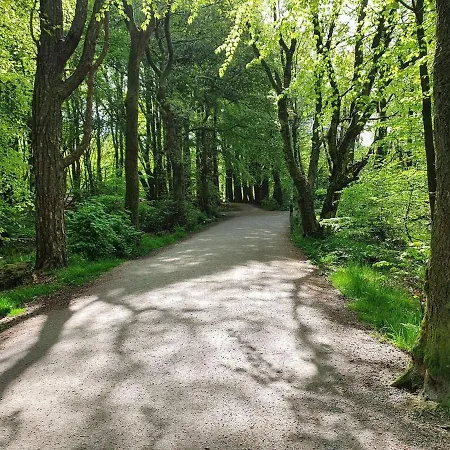 Beautiful 3-bedroom Near Center, 110m2, Great Location